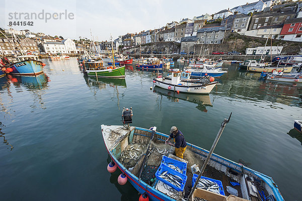 Fischereihafen  Fischerhafen  Hafen  Fisch  Pisces  Europa  britisch  Großbritannien  Küste  angeln  Fischer  Mevagissey  Makrele  Cornwall  England  Fischerdorf