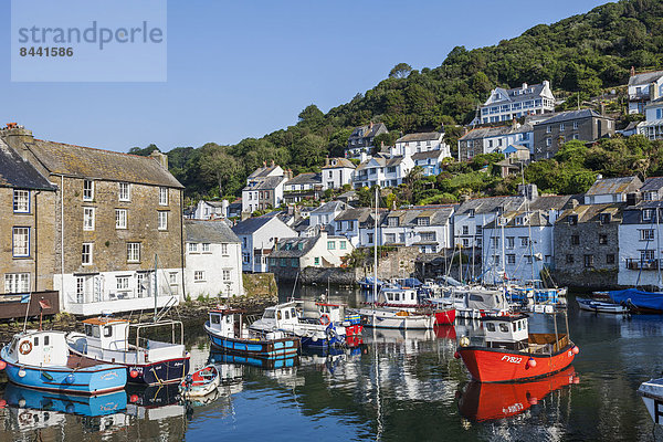 Fischereihafen  Fischerhafen  Hafen  Europa  britisch  Großbritannien  Küste  angeln  Cornwall  England  Fischerboot  Fischerdorf