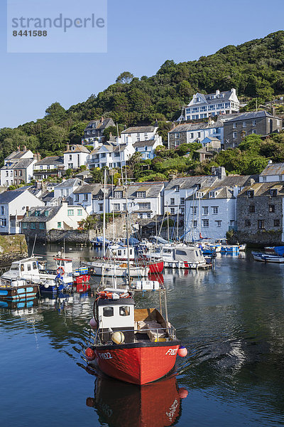 Fischereihafen  Fischerhafen  Hafen  Europa  britisch  Großbritannien  Küste  angeln  Cornwall  England  Fischerboot  Fischerdorf