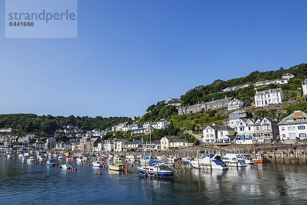 Fischereihafen  Fischerhafen  Hafen  Europa  britisch  Großbritannien  Cornwall  England