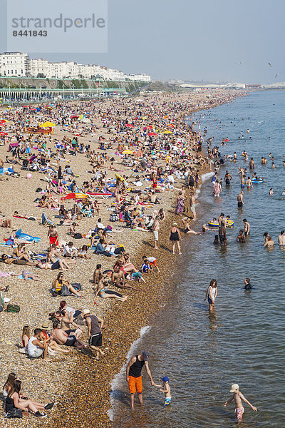 Europa  Strand  britisch  Großbritannien  Küste  Meer  Urlaub  Brighton  East Sussex  England  Sussex
