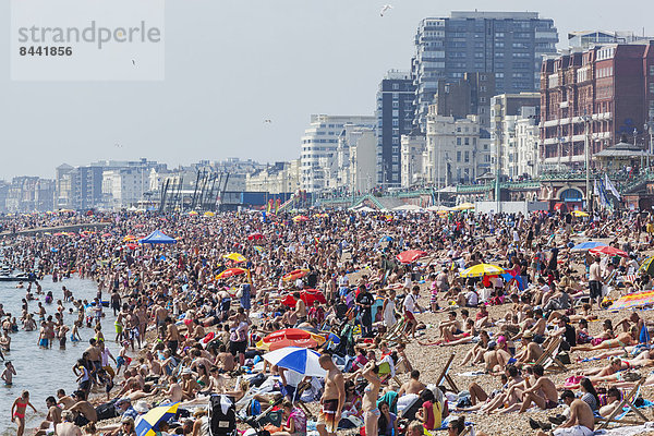 Europa  Mensch  Menschen  Strand  britisch  Großbritannien  Küste  Menschenmenge  Tourist  Meer  Urlaub  voll  Brighton  bevölkert  East Sussex  England  Sussex  Tourismus