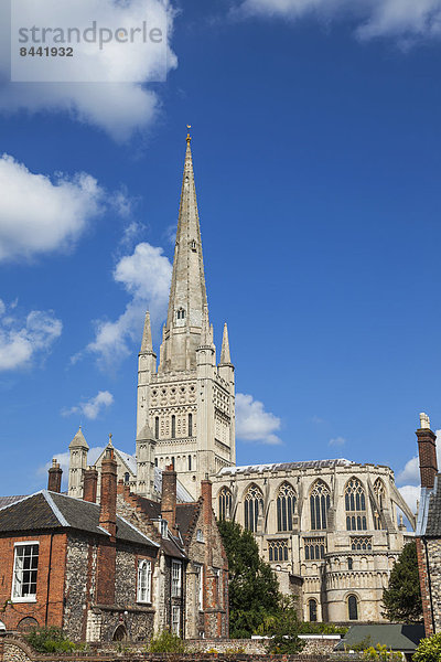 Europa  britisch  Großbritannien  Kirche  Kathedrale  Norfolk  England  Norwich