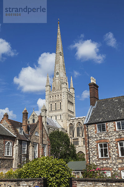 Europa  britisch  Großbritannien  Kirche  Kathedrale  Norfolk  England  Norwich