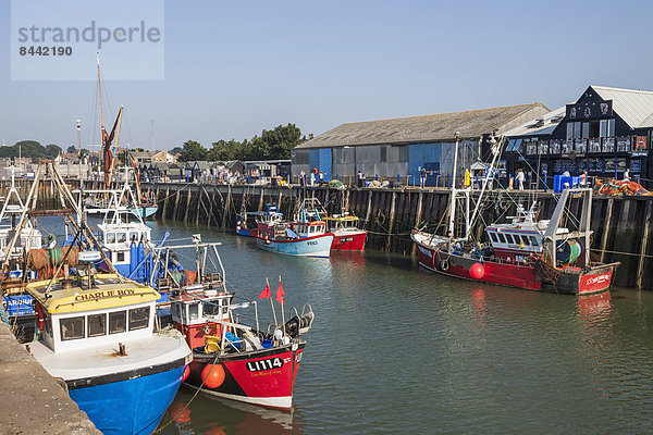 Fischereihafen  Fischerhafen  Hafen  Europa  britisch  Großbritannien  Küste  Boot  Meer  England  Kent  Whitstable