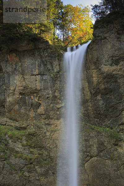Helligkeit  Wasser  Europa  Fortbewegung  Stein  Wand  fließen  Abstraktion  Herbst  Bach  Wasserfall  Laub  Schweiz