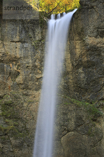 Helligkeit  Wasser  Europa  Fortbewegung  Stein  Wand  fließen  Abstraktion  Herbst  Bach  Wasserfall  Laub  Schweiz
