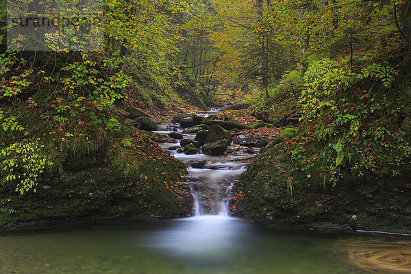 Helligkeit  Wasser  Europa  Fortbewegung  Stein  fließen  Fluss  Herbst  Bach  Wasserfall  Laub  Moos  Klamm  Schweiz