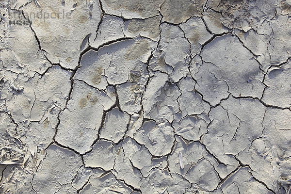 Detail  Details  Ausschnitt  Ausschnitte  Muster  Wärme  Konzept  Erde  trocken  Abstraktion  Andalusien  braun  Schlamm  Schnittmuster  Spanien