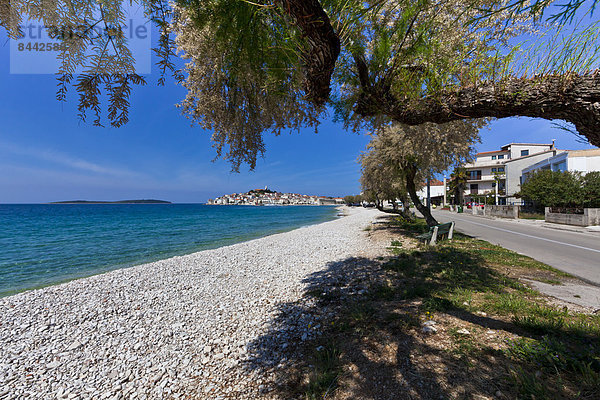 Kroatien  Dalmatien  Blick auf die Halbinsel Primosten