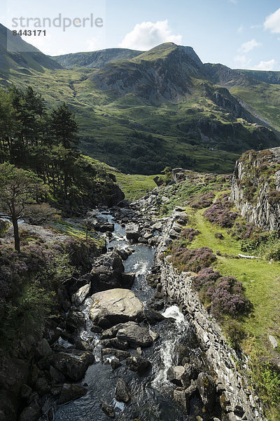 UK  Wales  Mountain stream in Snowdonia National Park