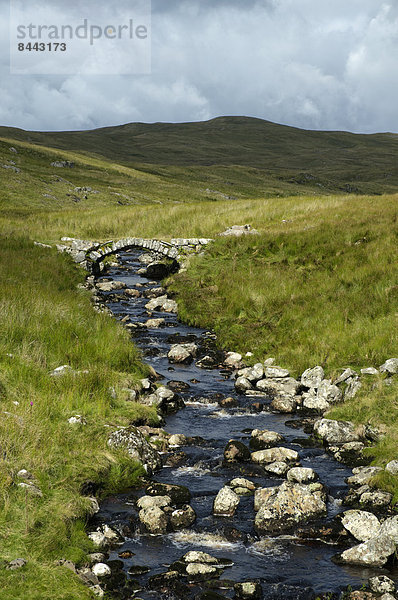 UK  Wales  Mountain stream in Snowdonia National Park