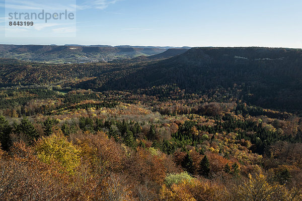Deutschland  Baden Württemberg  Landschaft  Wald im Herbst  Blick auf Albtrauf