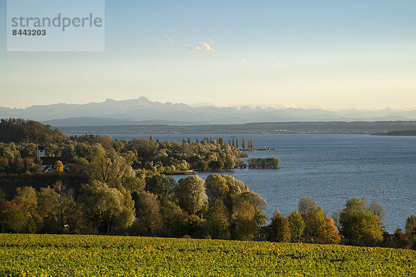 Deutschland  Baden-Württemberg  Bodenseekreis  Bodensee und Schweizer Alpen