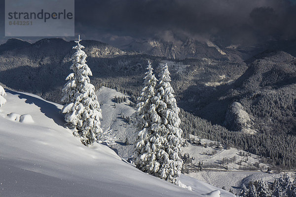 Germany  Bavaria  Sudelfeld  Mountains in winter