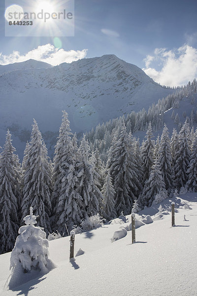 Deutschland  Bayern  Sudelfeld  Berge im Winter  Sessellift
