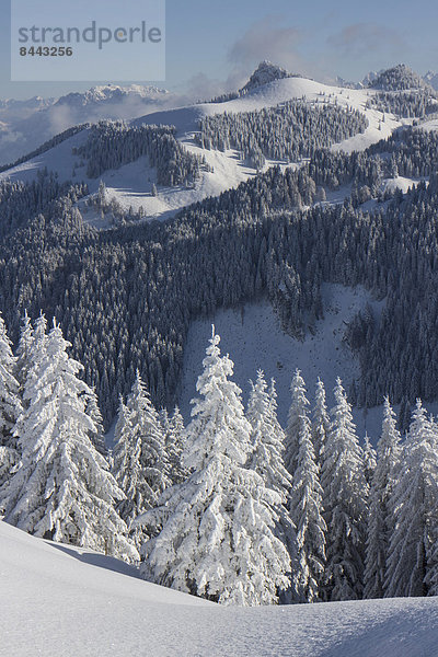 Germany  Bavaria  Sudelfeld  Mountains in winter