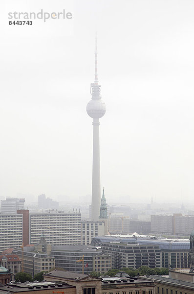 Germany  Berlin  Roof top view with TV tower