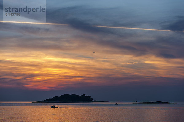 Kroatien  Vrsar  Sonnenuntergang über Meer mit Boot