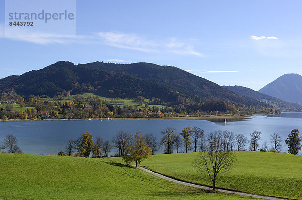 Deutschland  Bayern  Oberbayern  Tegernsee