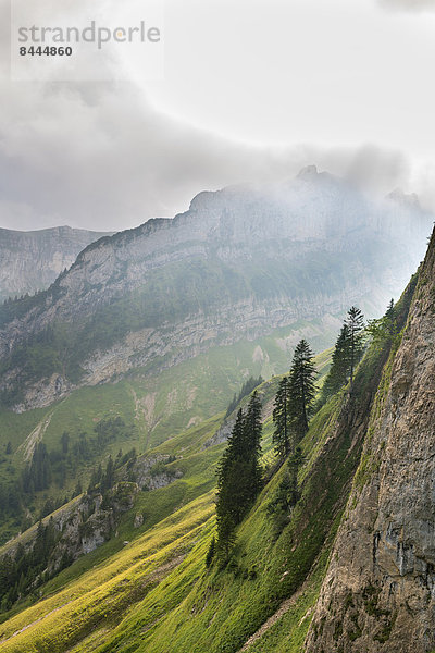 Schweiz  Appenzell  Alpstein  Blick von Bogartenluecke und Dreifaltigkeit mit Wolken