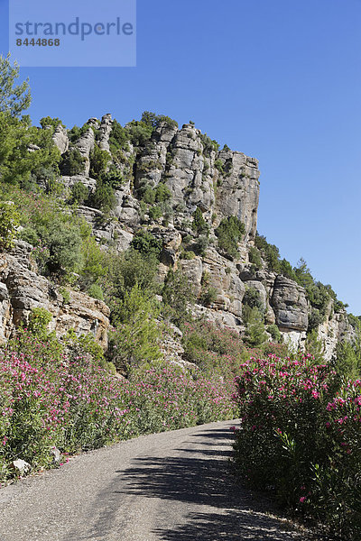 Turkey  Antalya Province  Manavgat  Koepruelue Canyon National Park  Taurus Mountains  mountain street and oleander