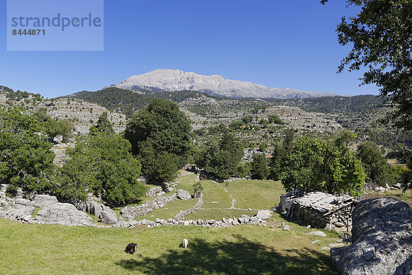 Turkey  Antalya Province  Manavgat  Koepruelue Canyon National Park  Taurus Mountains  Altinkaya