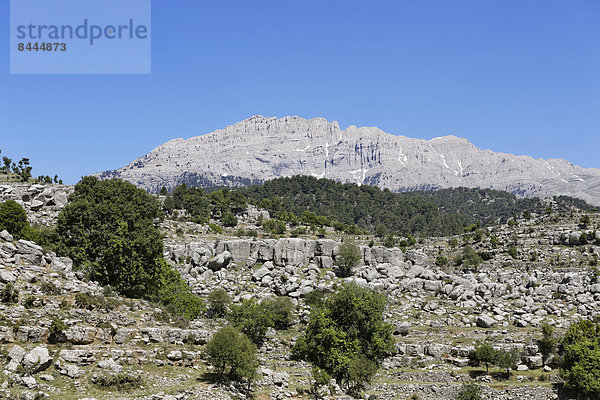 Türkei  Provinz Antalya  Manavgat  Koepruelue Canyon Nationalpark  Taurusgebirge  Altinkaya