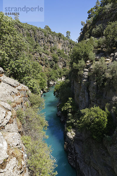 Türkei  Antalya Provinz  Manavgat  Koepruelue Canyon Nationalpark  Koepruecay Fluss