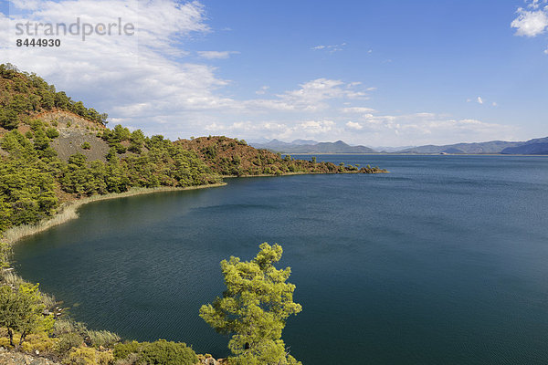 Türkei  Provinz Mugla  Koeycegiz See