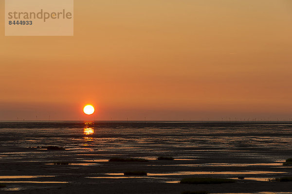 Deutschland  Niedersachsen  Dorum  Sonnenuntergang  Wattenmeer