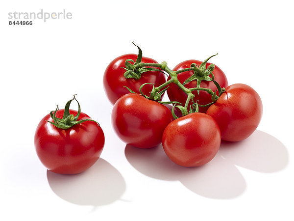 Sechs Tomaten  Studioaufnahme