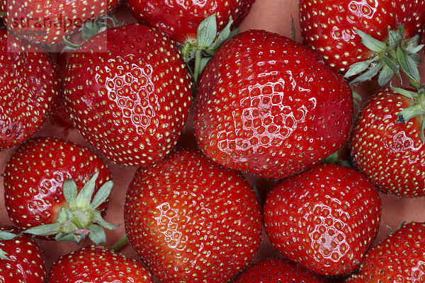 Erdbeeren  Vollrahmen