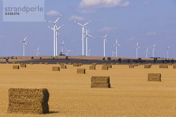 Germany  Saxony-Anhalt  Magdeburg Boerde  Stubble field with bales of straw and wind farm in background