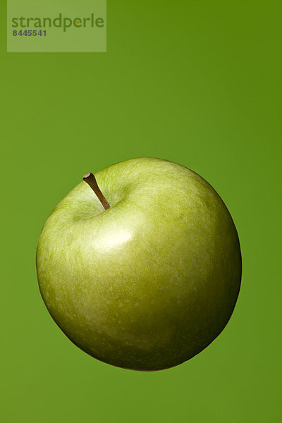 Grüner Apfel (Malus)  Studioaufnahme
