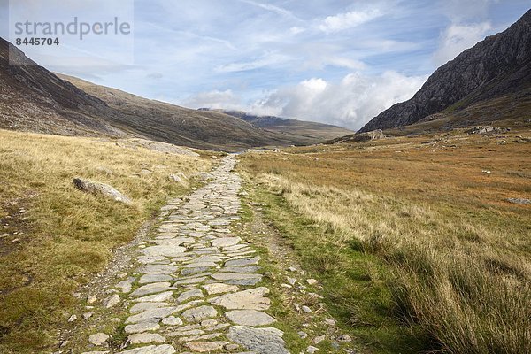 Europa  Großbritannien  Gwynedd  Wales