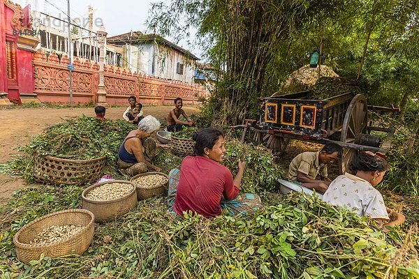 Fluss  Südostasien  Vietnam  Asien  Kambodscha