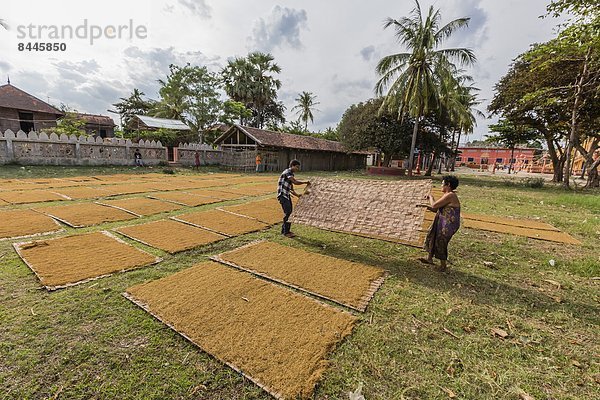 trocknen  Fluss  Dorf  Tabak  Südostasien  Vietnam  Angkor  Asien  verboten  Kambodscha