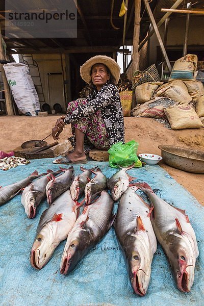 Fisch  Pisces  Frau  Fluss  Dorf  verkaufen  Südostasien  Vietnam  Asien  Kambodscha