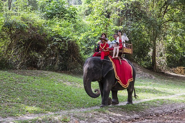 Fröhlichkeit  fahren  Tourist  Elefant  Südostasien  Vietnam  Angkor  Asien  Kambodscha  mitfahren