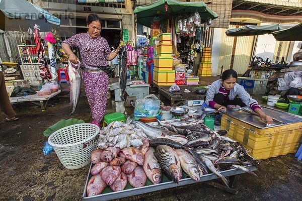 Fisch  Pisces  Frische  Straße  Großstadt  Hauptstadt  Südostasien  Vietnam  Asien  Kambodscha  Markt