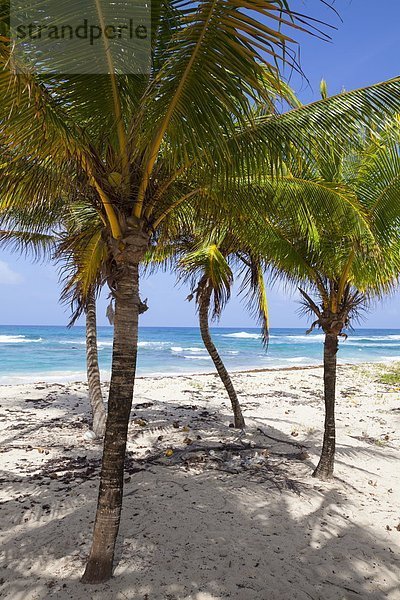 Ostküste  Karibik  Westindische Inseln  Mittelamerika  Jamaika  Long Bay