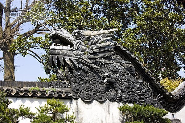 Wand  Garten  China  Drache  Shanghai