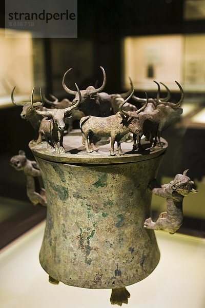 zeigen  Löwe  Panthera leo  Museum  Dekoration  China  Bronze  Container  Shanghai