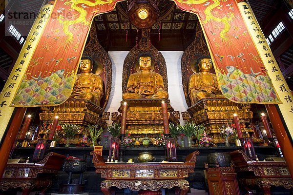 Halle Ehrfurcht China Buddha Shanghai