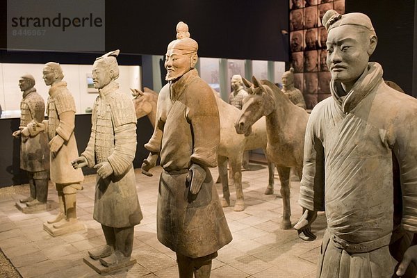 zeigen  Geschichte  Museum  Kampf  China  Terrakotta  Xian