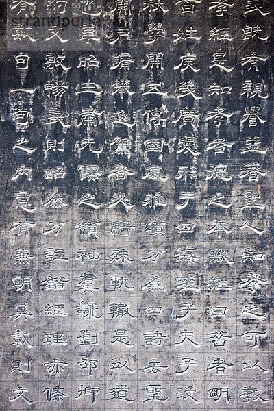 Detail  Details  Ausschnitt  Ausschnitte  Stein  Wald  China  Tablett  Xian