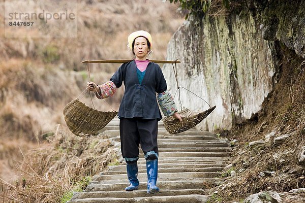 Frau  tragen  Korb  Dorf  Feld  Terrasse  China  Berg  Guilin  Longsheng