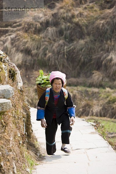Frau  tragen  Korb  Gemüse  Dorf  China  Berg  Guilin