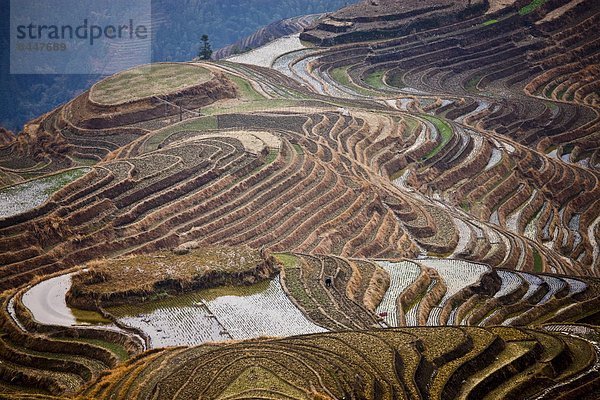 lang  langes  langer  lange  Reis  Reiskorn  Veranda  China  Flut  Longsheng